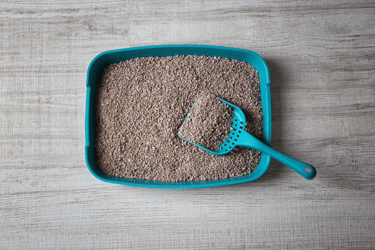 Top cửa hàng bán cát mèo giá tốt