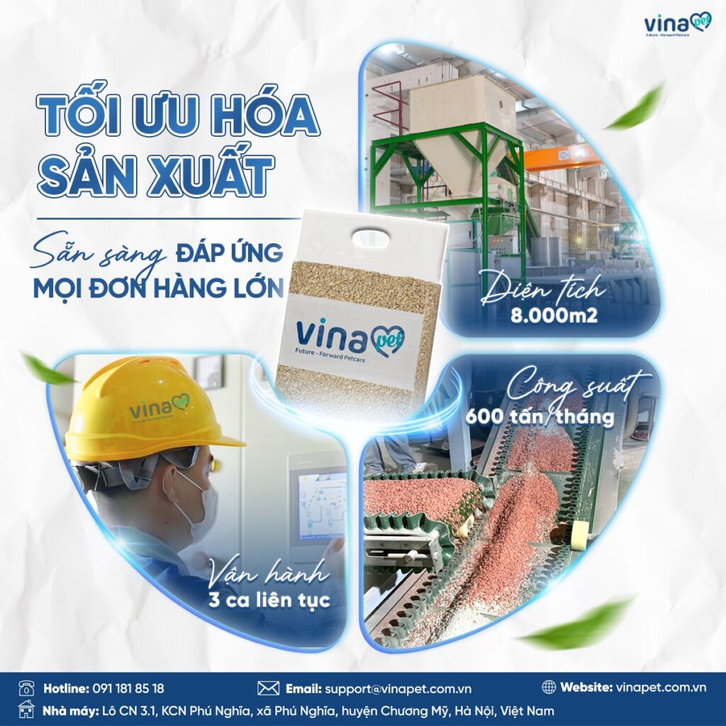 Vinapet sản xuất cát mèo